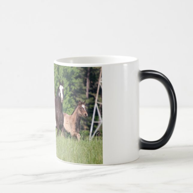 Taza Mágica Algunos caballos en hierba verde (Derecha)
