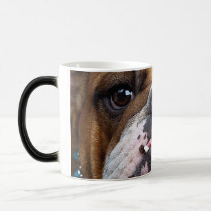 Taza Mágica Almohada de inglés bulldog