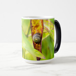 Taza Mágica apego tranquilo