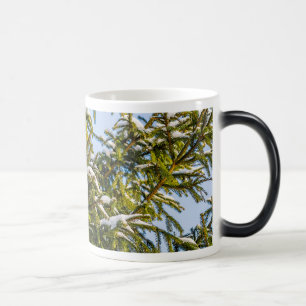 Taza Mágica Árbol de Navidad Verde en Nieve