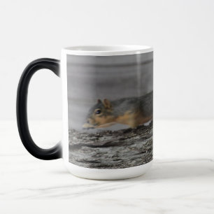 Taza Mágica Ardilla