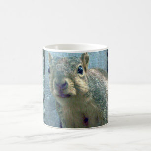 Taza Mágica Ardilla