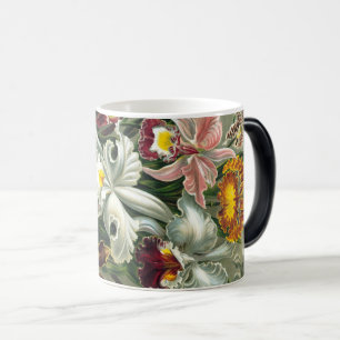 Taza Mágica Arte Ernst Haeckel Imprimir:Oncidios Orquídeos, tu