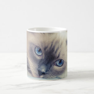 Taza Mágica Asombroso muñeco rojo con ojos azules ‎ gato
