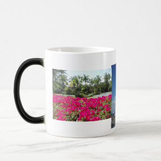 Taza Mágica Bahía de Caneel, St John, USVI
