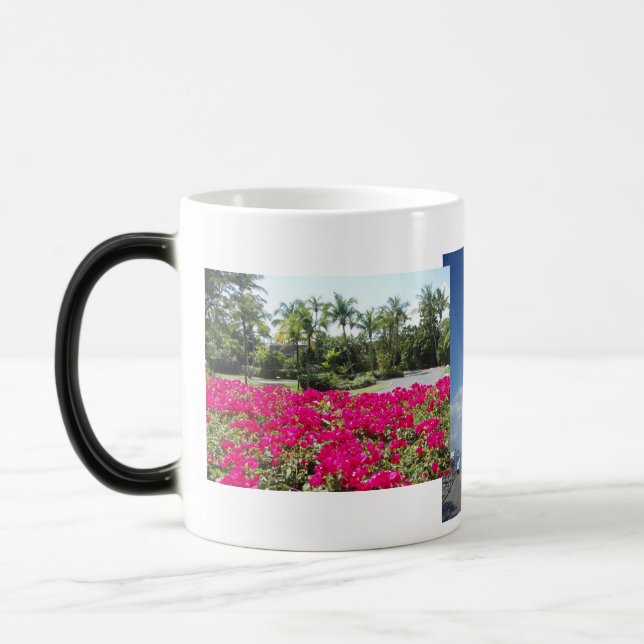 Taza Mágica Bahía de Caneel, St John, USVI (Izquierda)