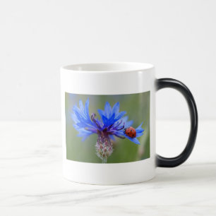 Taza Mágica Blue Blossoms Ladybug Paz Amor Destino Arte Vid