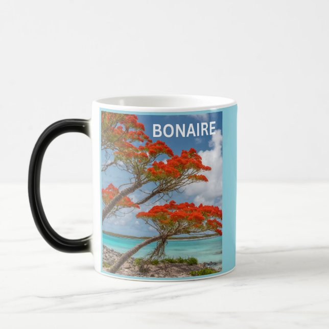 Taza Mágica Bonaire bon bini (Izquierda)
