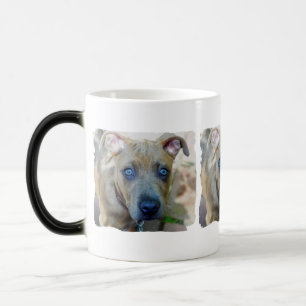 Taza Mágica Brindle Pit Bull Puppy by Shirley Taylor
