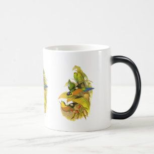 Taza Mágica Broadbill Largo-atado