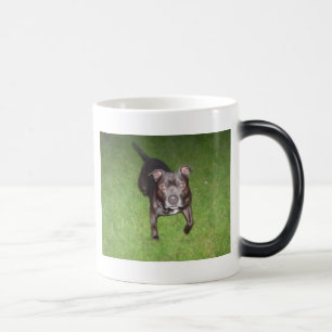 Taza Mágica Bull terrier hermoso