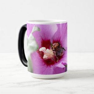 Taza Mágica Bumblebee en la flor de Hibiscus