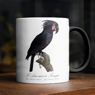 Taza Mágica Cacatúa de palma, loro Probosciger aterrimus, retr