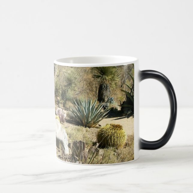 Taza Mágica Cactus (Derecha)