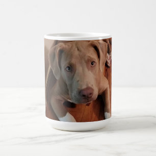Taza Mágica Canina