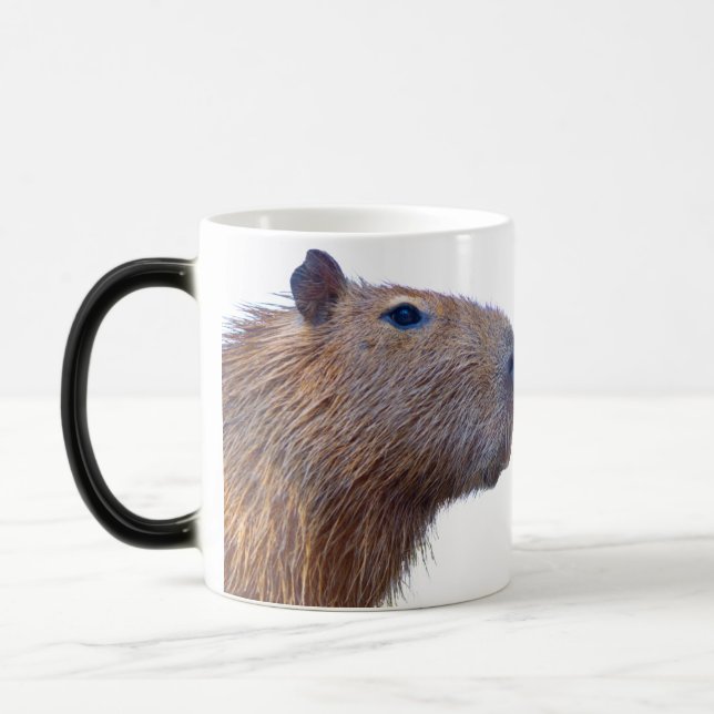 Taza Mágica Capibara (Izquierda)