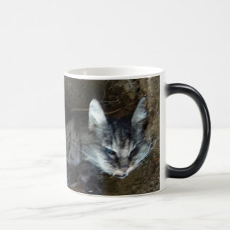TAZA MÁGICA ¡CAT DEL ZOMBI EN MI BEBIDA!