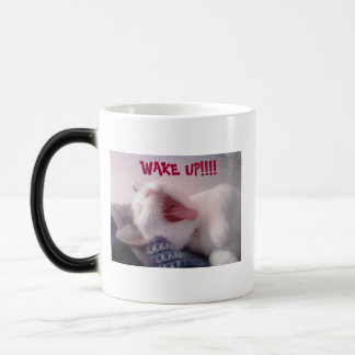 Taza Mágica Cat Yawning