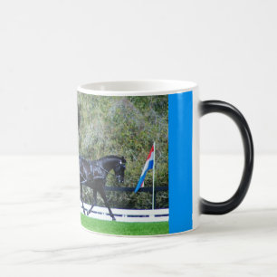 Taza Mágica cde del roble vivo