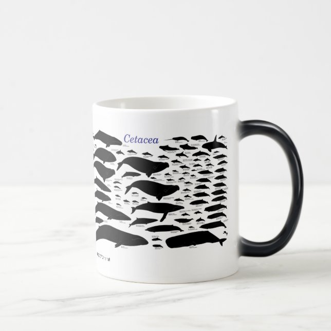 Taza Mágica Cetaceans (Derecha)