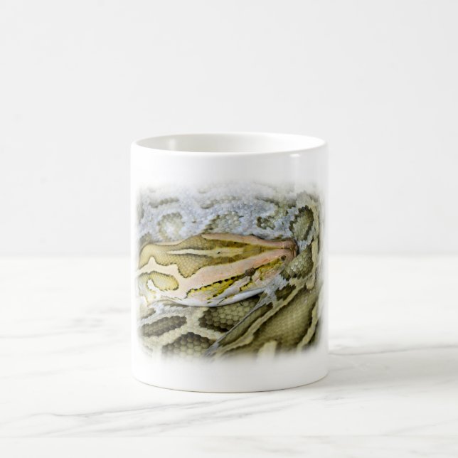 Taza Mágica Cierre del pitón indio (Centro)