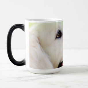 Taza Mágica Cojín decorativo De Labrador Y Mariposa