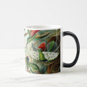 Taza Mágica Colibríes