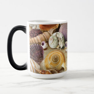 Taza Mágica conchas marinas en la playa