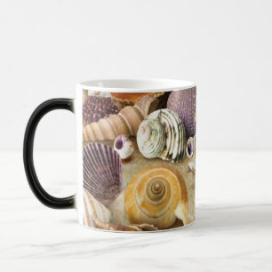 Taza Mágica conchas marinas en la playa