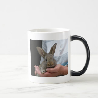 Taza Mágica conejo