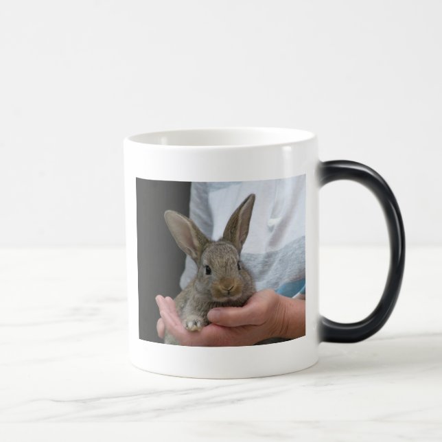 Taza Mágica conejo (Derecha)