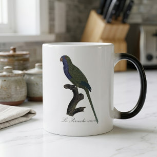 Taza Mágica Cotorra Argentina o Cotorra de Monk, Myiopsitta Mo