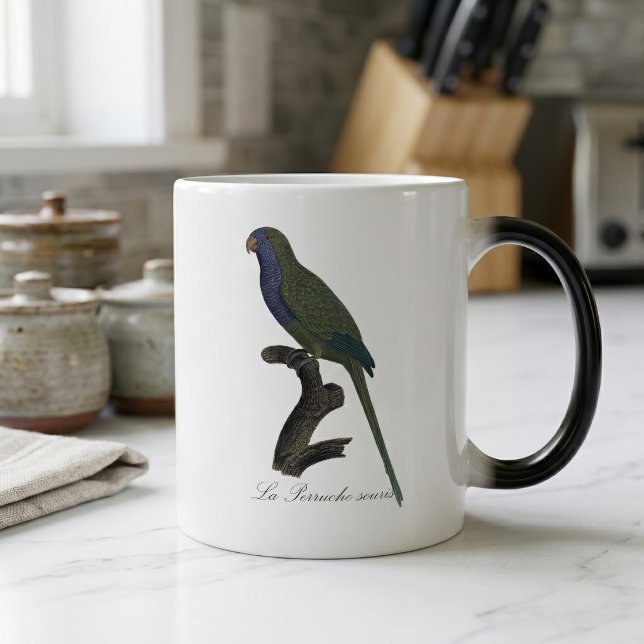 Taza Mágica Cotorra Argentina o Cotorra de Monk, Myiopsitta Mo (Monk Parakeet or Monk Parrot, Myiopsitta Monachus. Color Morph Mug)
