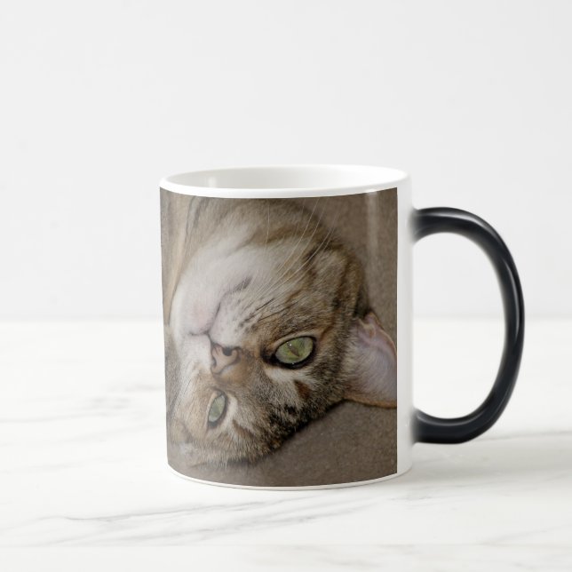 Taza Mágica Cute Kitty Morph Mug (Derecha)