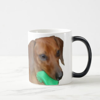 Taza Mágica Dachshund miniatura