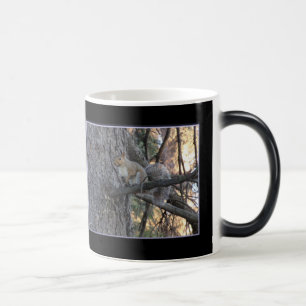 Taza mágica de ardilla en árbol con transformación