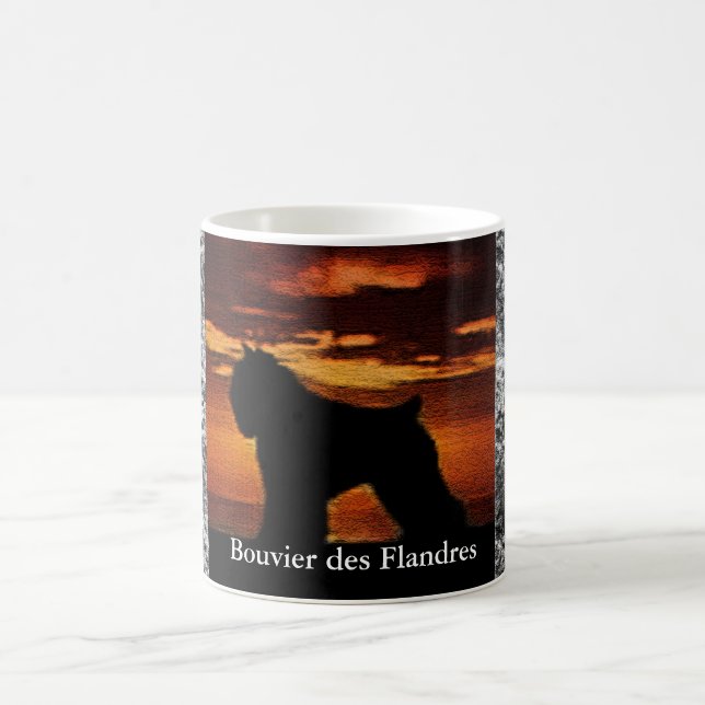 Taza Mágica DES Flandres de Bouvier (Centro)