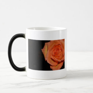 Taza Mágica Destino de la paz del fiesta del amor de la paz