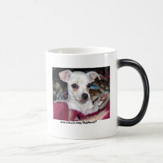 Taza Mágica Dog-Mug. lindo