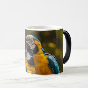 Taza Mágica Dos Loros Aves Tropicales
