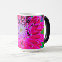 Dramática flor de Dahlia roja y rosa