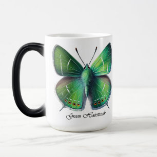 Taza Mágica Envoltura de Mariposa de Siguapa Verde Elegante