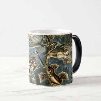Taza Mágica Ernst Haeckel variedad de ranas exóticas:Batrachia