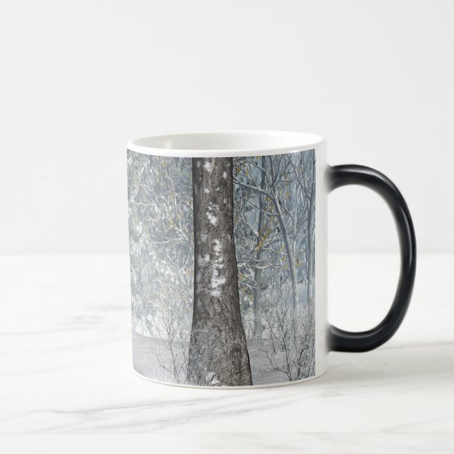Taza Mágica escena del invierno (Derecha)
