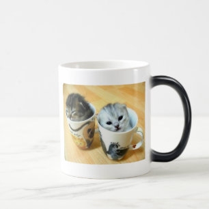 Taza Mágica Ése no es café adentro allí