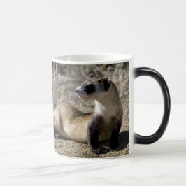 Taza Mágica Ferret Mongoose