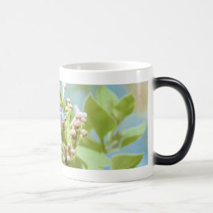 Taza Mágica Flor de Lila - Primus Inter Pares