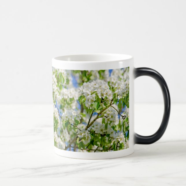 Taza Mágica Flor de manzana de cangrejo (Derecha)