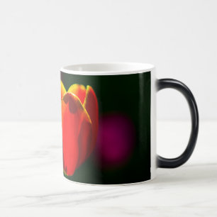 Taza Mágica Flor de tulipán rojo
