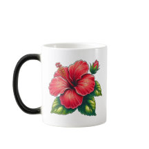 Flor Hibiscus Morphing